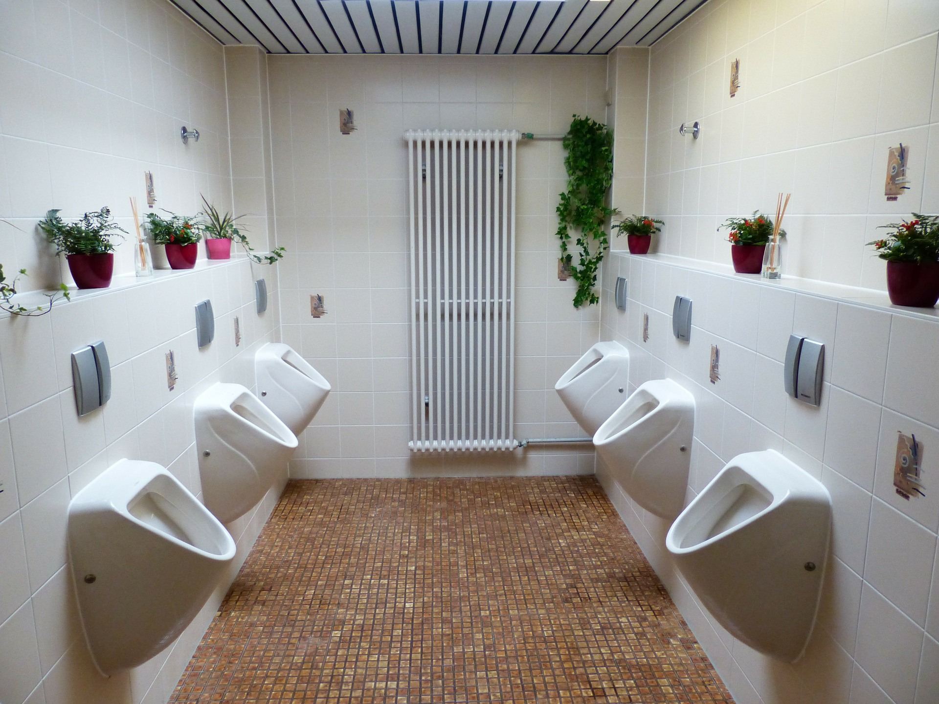 toilet-100782_1920